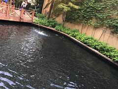 门面-热带风暴水上乐园