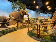 -陕西自然博物馆