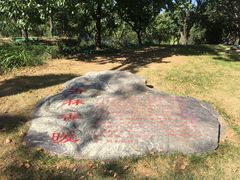 -长春公园(普阳街道)