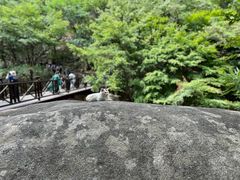 -青岛崂山太清宫