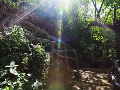 -终南山国家森林公园