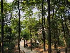 -梧桐山风景名胜区