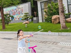 -王借岗森林公园