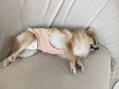 -怪兽屋·羊驼·猫咖·狗咖(俊华广场店)