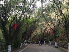 -滴水岩森林公园