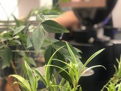-野鸽子咖啡(中航店)