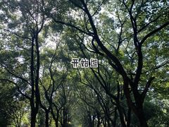 -东湖落雁景区