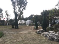 -铁山坪森林公园