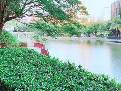 -深圳国际园林花卉博览园