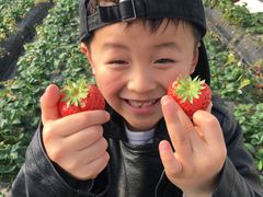-小鱼草莓采摘园农家乐·小鱼餐厅