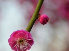 -重庆彩云湖湿地公园