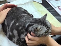 -美联众合动物医院·24h转诊中心