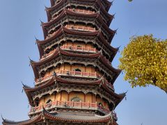 -葛仙湖公园