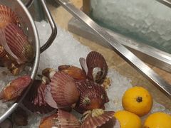 -济南喜来登酒店-盛宴自助西餐厅·综合自助