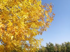 -永定河休闲森林公园