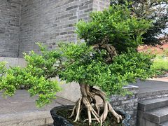 -资政大夫祠