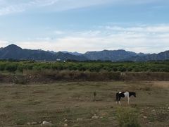 景点-十三陵水库