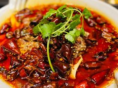 金牌毛血旺-辛香汇·现炒川菜(淮海路百盛店)