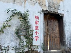 -杨家堂村