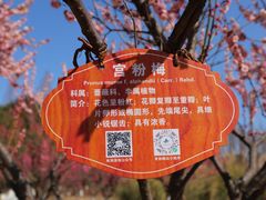 -南湖湿地公园