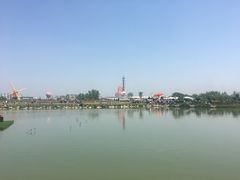 -荷兰花海