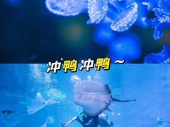 -烟台海昌鲸鲨海洋公园