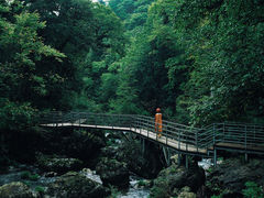 -龙苍沟森林公园
