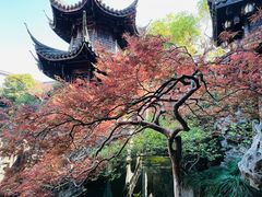 -胡雪岩故居