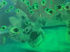 -常州海昌海洋探索馆
