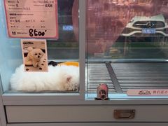 -FAELING PETS美天灵宠物(合生汇店)