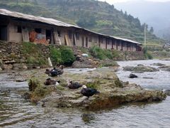 -西江千户苗寨-百年吊脚楼