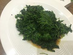 -森谷美食公园(杨行店)