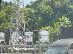 -尚竹阁冬瓜盅·18年地标美食(平洲店)