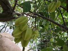 -南通洲际绿博园