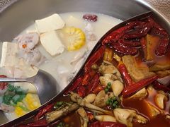-麻田会 ·鲜活现烹·牛蛙火锅(珠江新城维家思广场店)