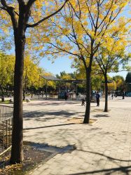 -大望京儿童游乐场