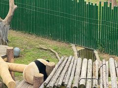 -沈阳森林动物园