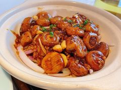 黑松露烧汁鲜蘑-小厨娘淮扬菜(六合欢乐港店)