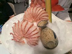 -山东老家(天龙分店)