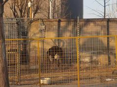 -意大利农场度假村