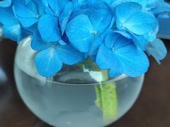 -Social 秀西餐厅-长沙瑞吉酒店(运达店)