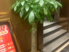 -中之润养生(都市路店)