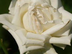 -共青国家森林公园-售票处