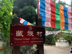 -云南民族村