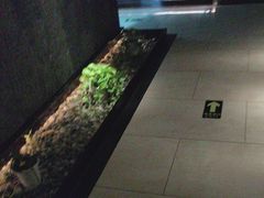 -泰之源足浴会所(玉环店)