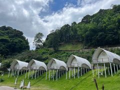 -江西阳明山国家森林公园