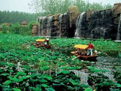 -微山湖红荷湿地景区