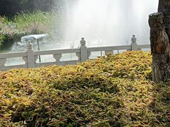 -丰台花园