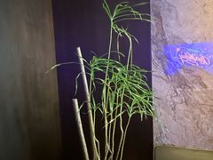-villaa·别墅·融合菜西餐厅