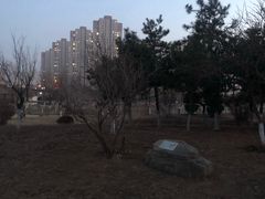 -前关湿地公园